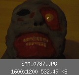 SAM_0787.JPG
