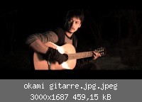 okami gitarre.jpg.jpeg