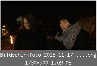 Bildschirmfoto 2018-11-17 um 11.02.39.png